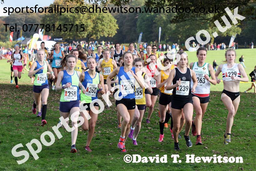 Senior womens Northern Cross Country Relays. Photo: David T. Hewitson/Sports for All Pics